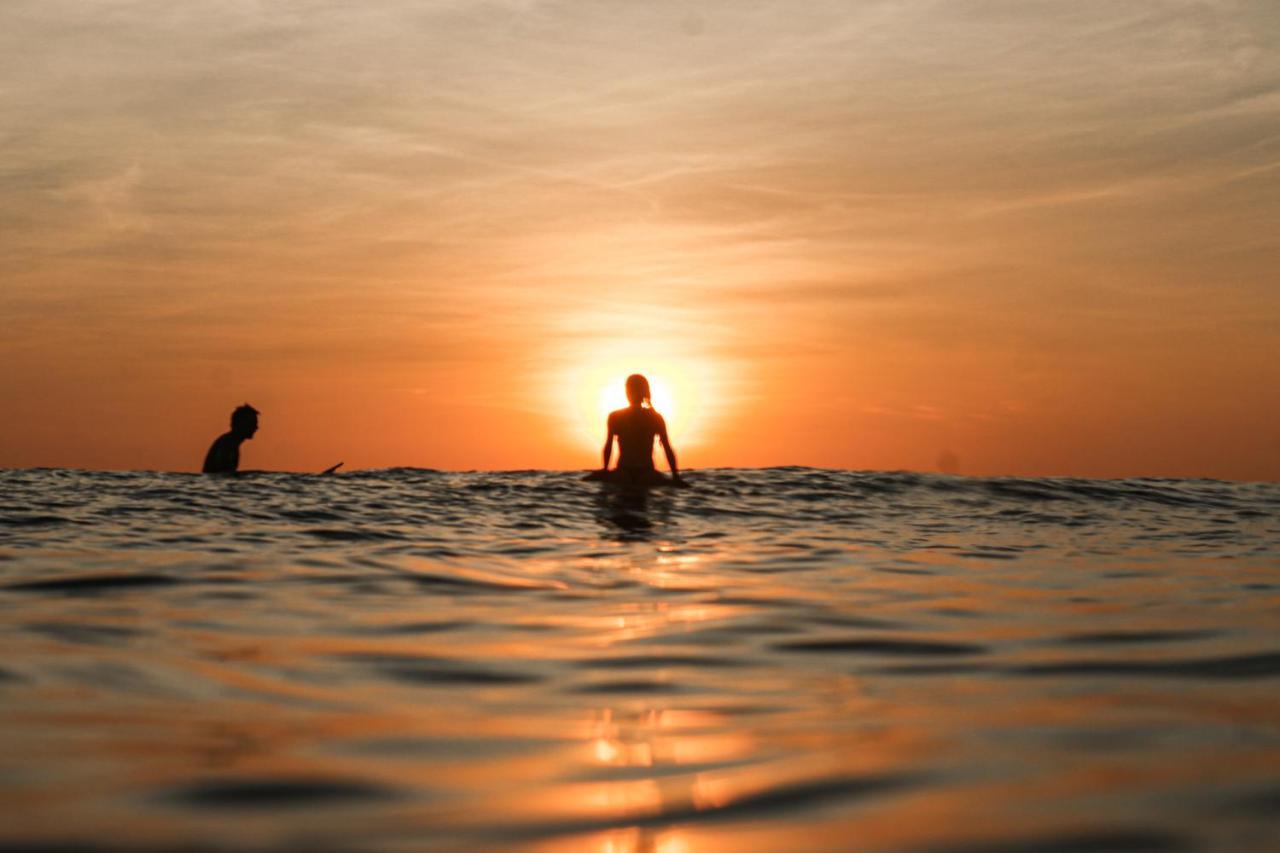 Zeneidas Surf Garden