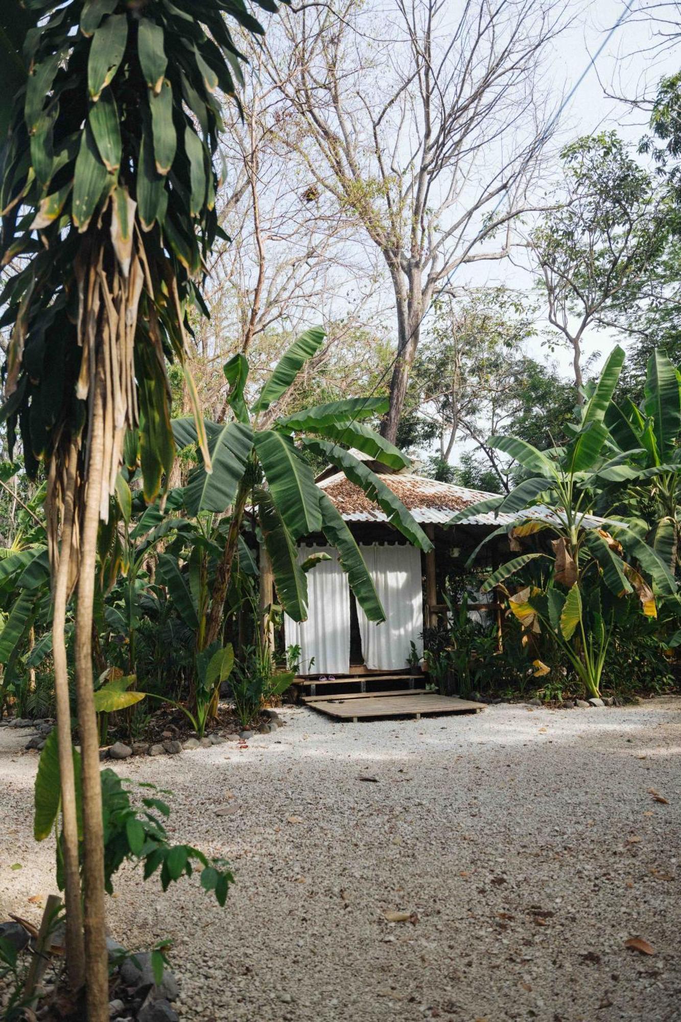 Hostel Zeneidas Surf Garden Playa Santa Teresa (Puntarenas)