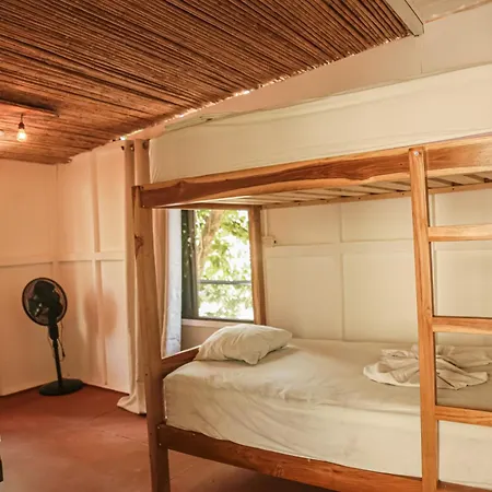 Zeneidas Surf Garden Playa Santa Teresa  Room photo