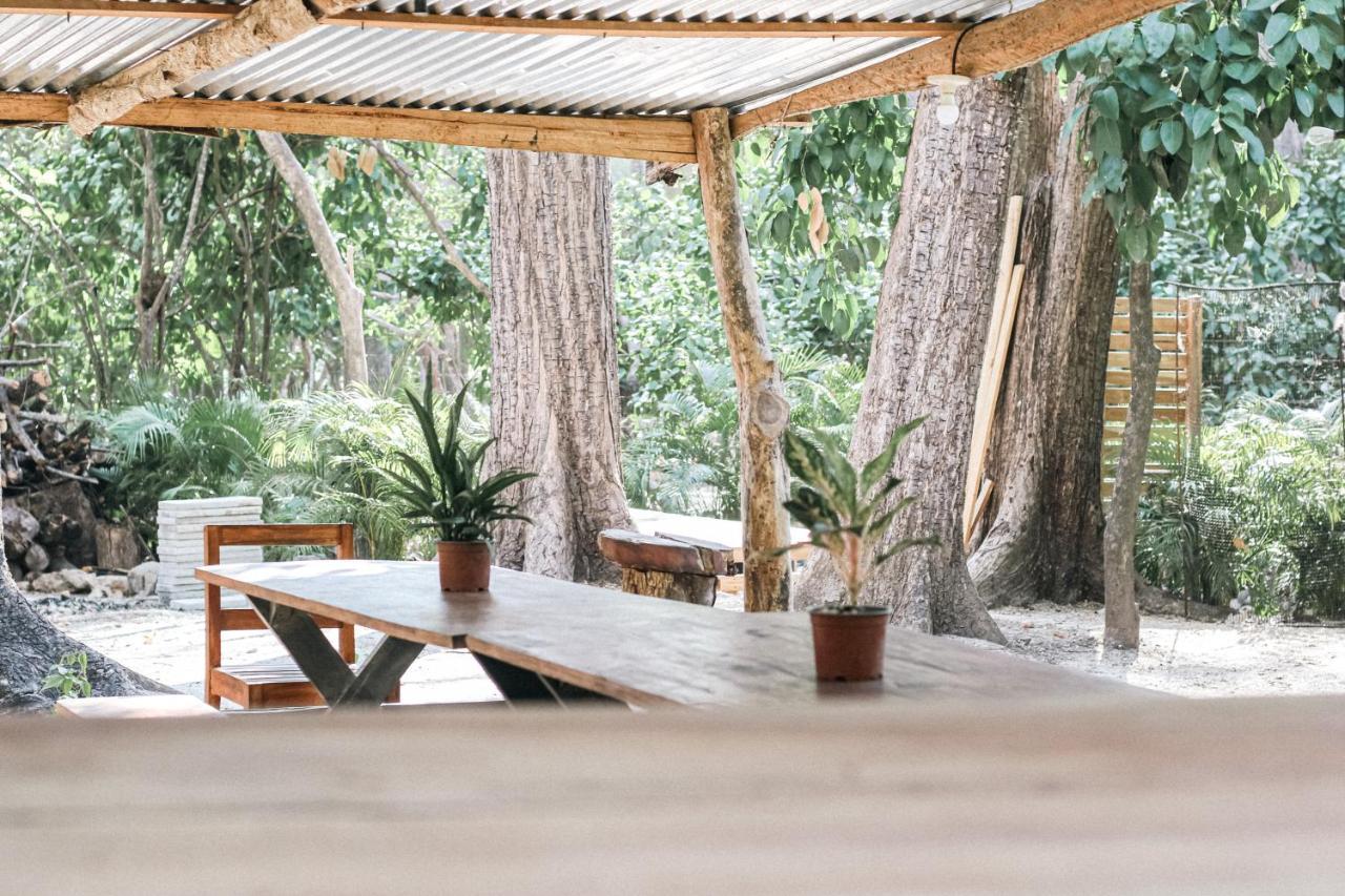 Zeneidas Surf Garden Hostel