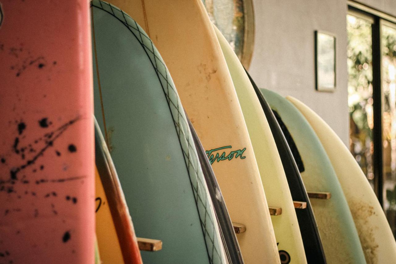 Zeneidas Surf Garden Hostel