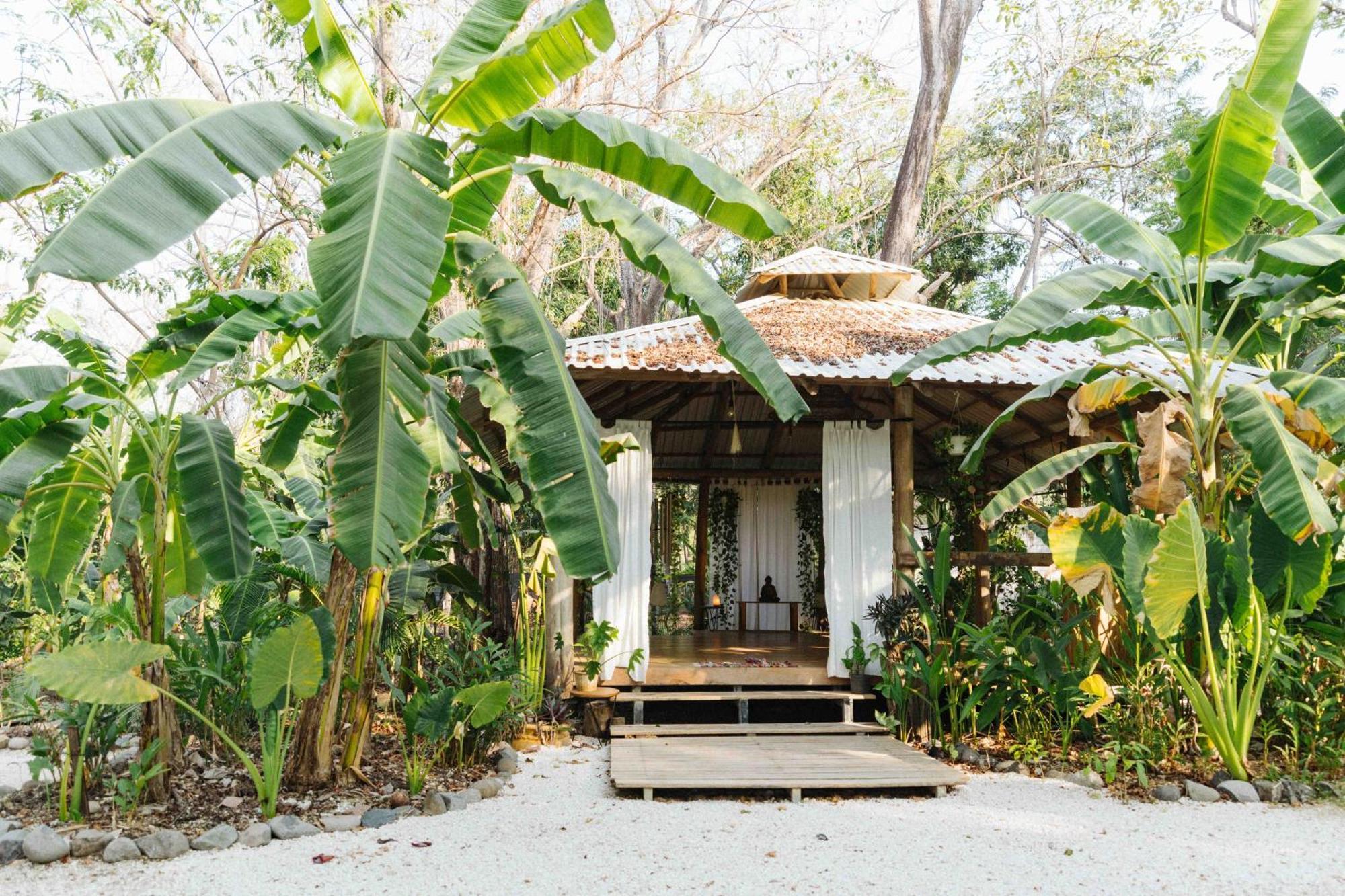 Zeneidas Surf Garden