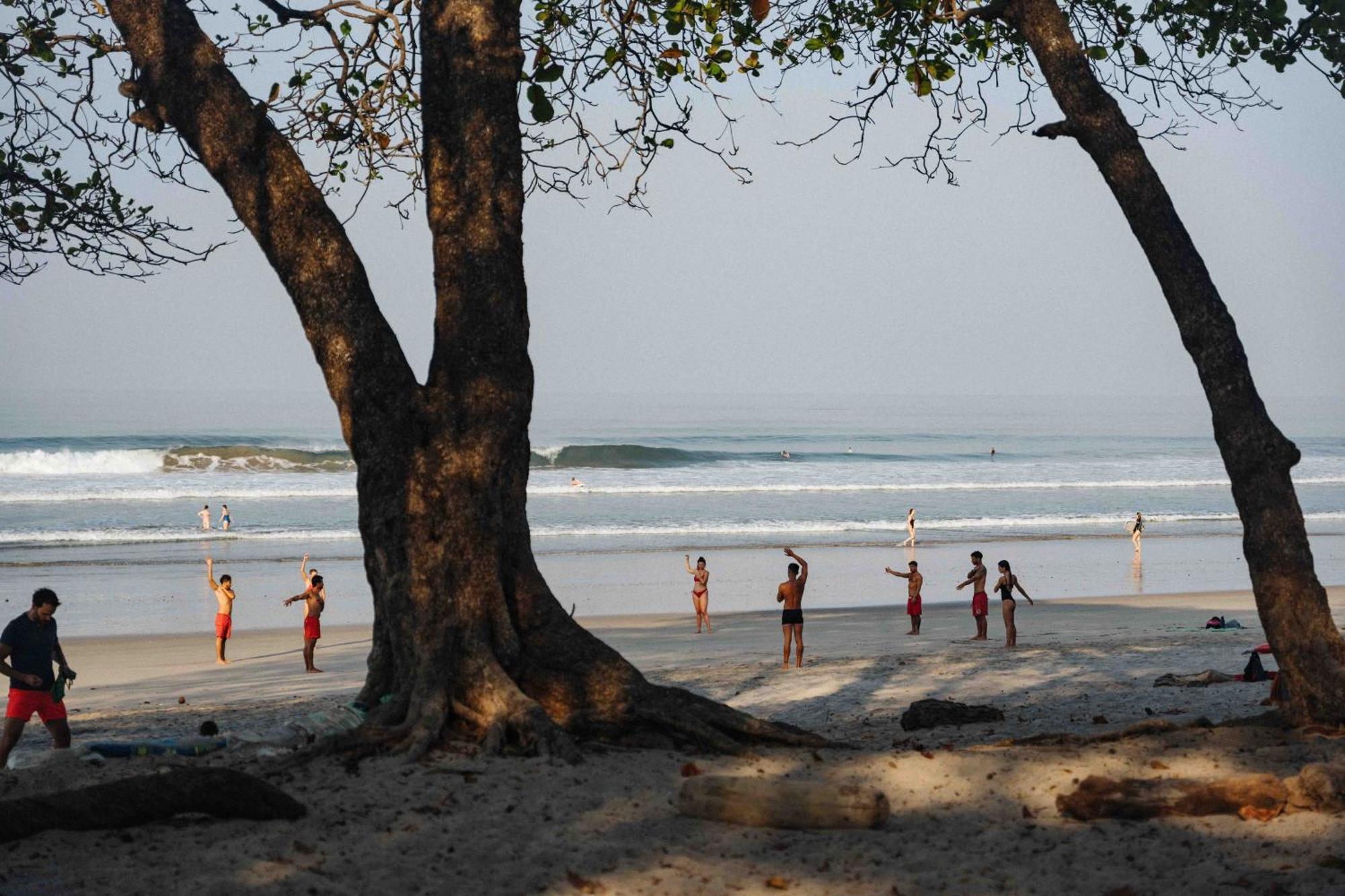 Zeneidas Surf Garden Playa Santa Teresa (Puntarenas)