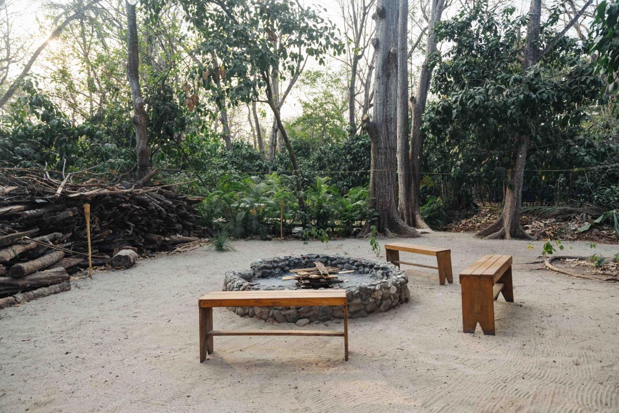 Zeneidas Surf Garden