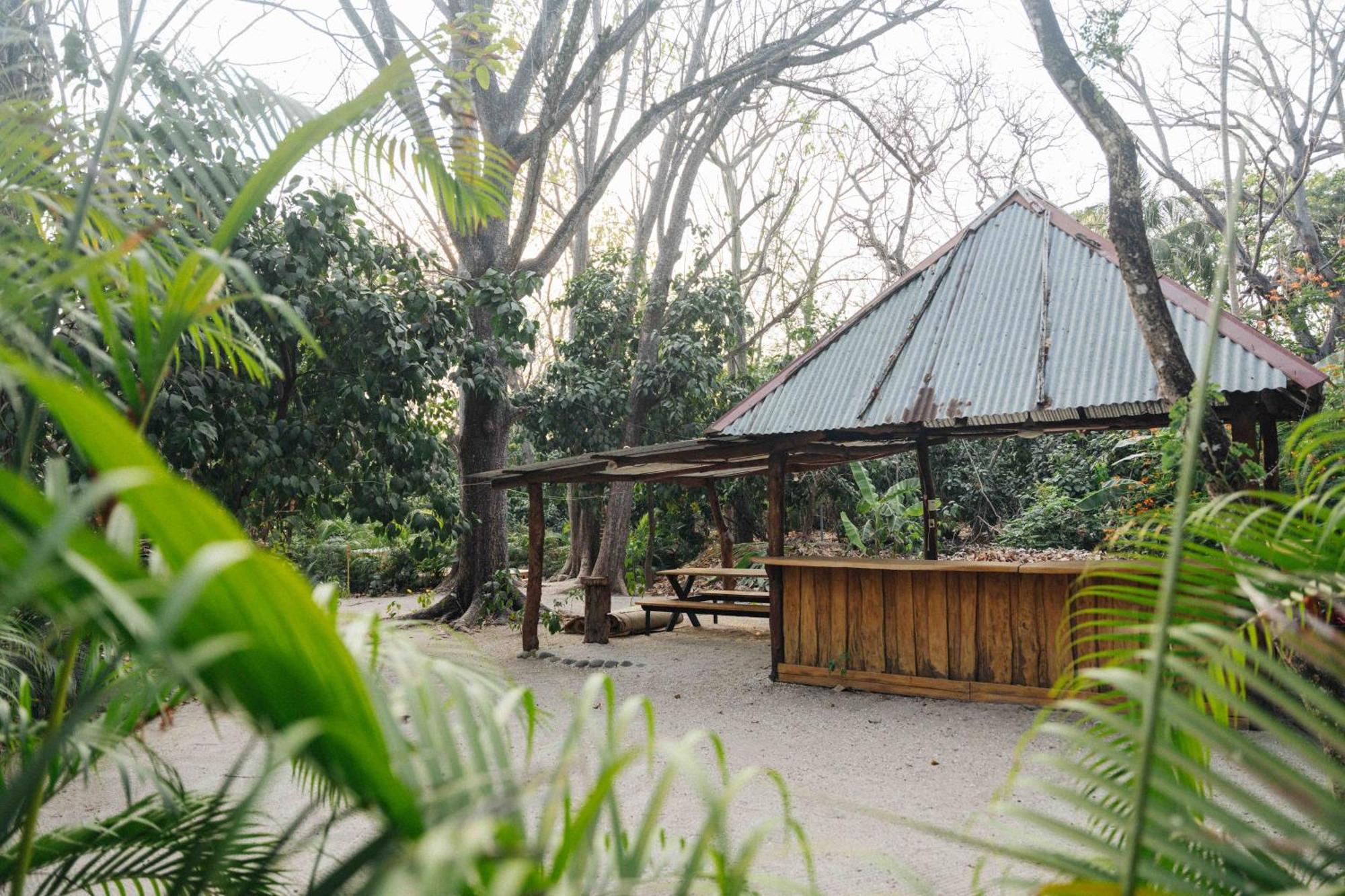 Zeneidas Surf Garden