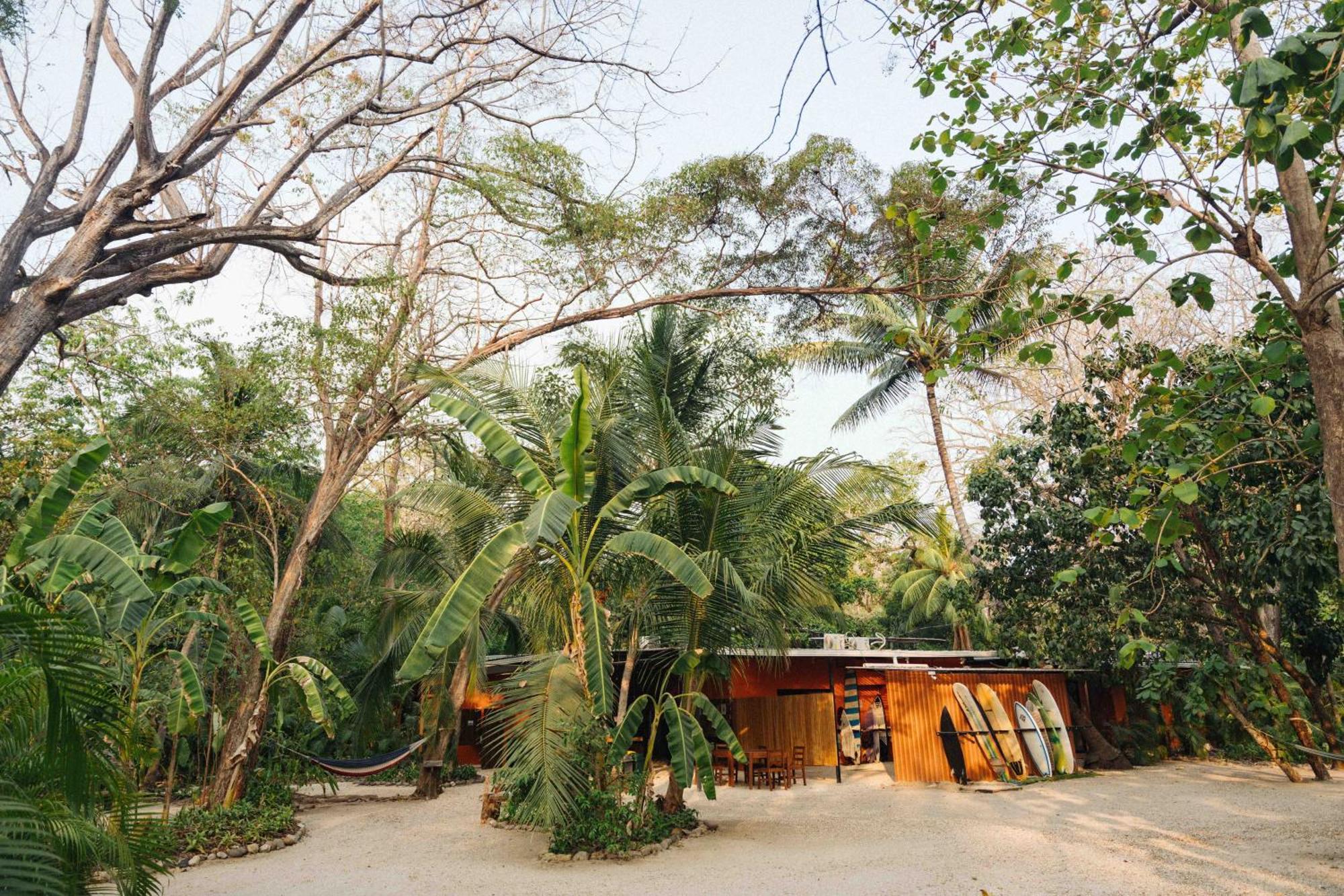 Zeneidas Surf Garden