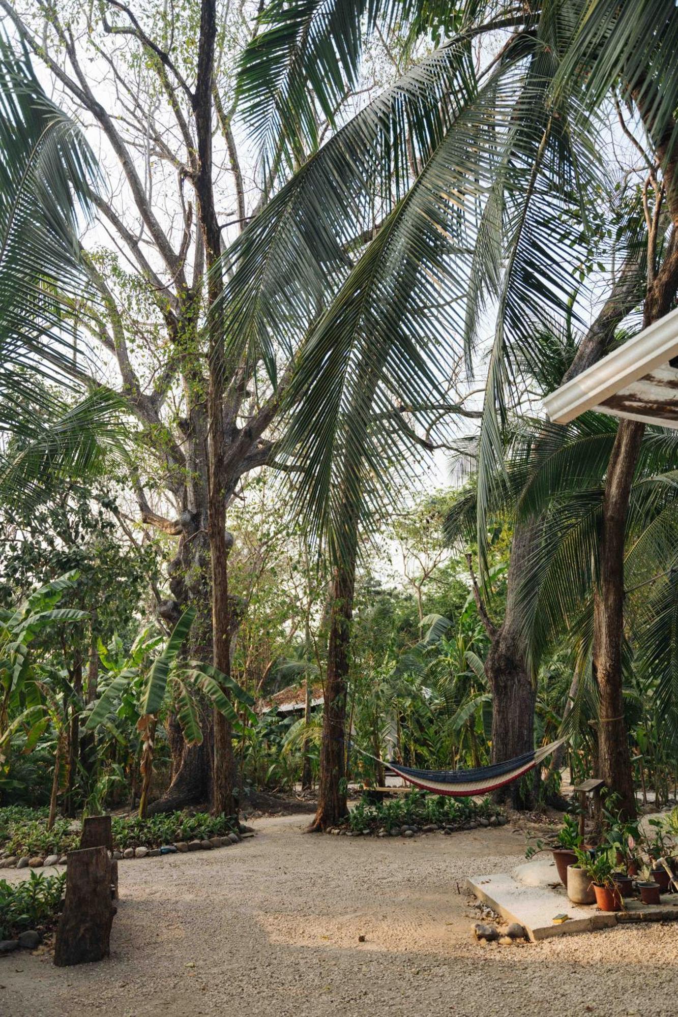 Zeneidas Surf Garden Hostel *